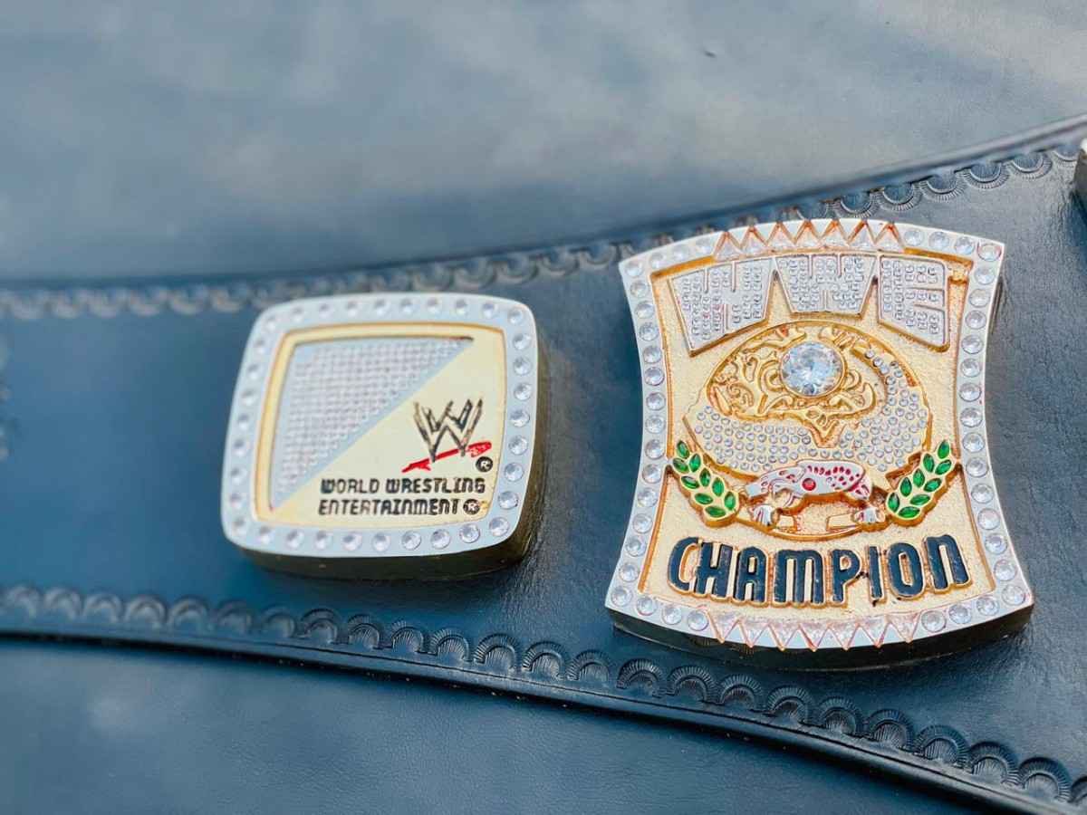 Custom WWE Spinner 20mm 3D 24k Gold Belt - Image 6