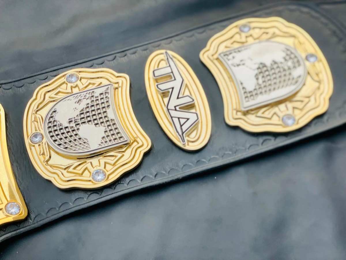 TNA Wrestling Heavyweight Champion Replica Belt - Image 8