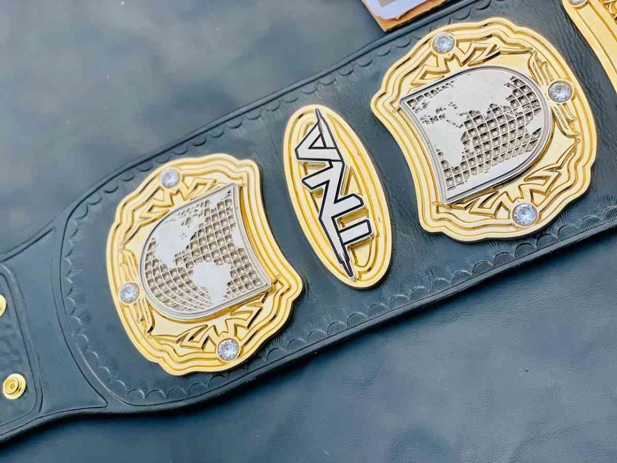 TNA Wrestling Heavyweight Champion Replica Belt - Image 6