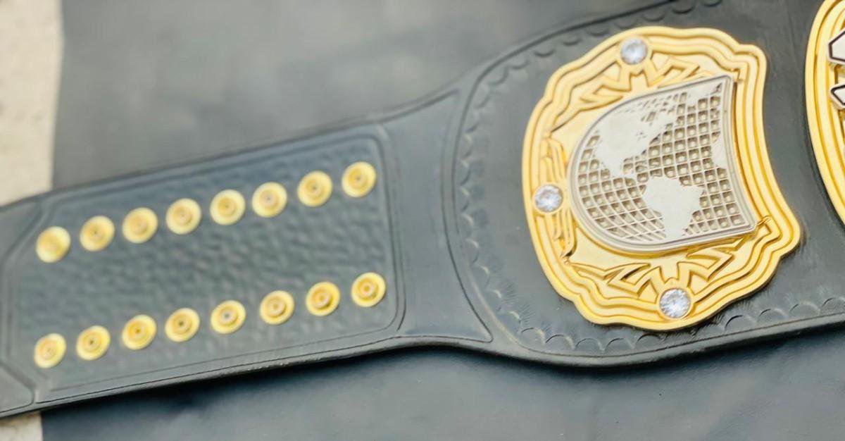 TNA Wrestling Heavyweight Champion Replica Belt - Image 2