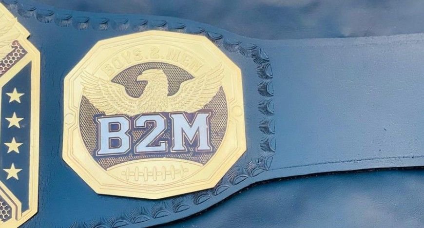 The B2M Fantasy Football Championship Custom Belt - Image 3