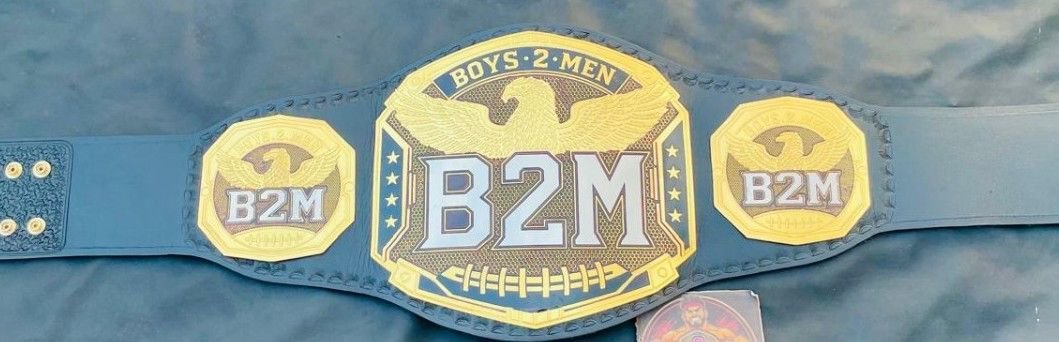 The B2M Fantasy Football Championship Custom Belt - Image 2