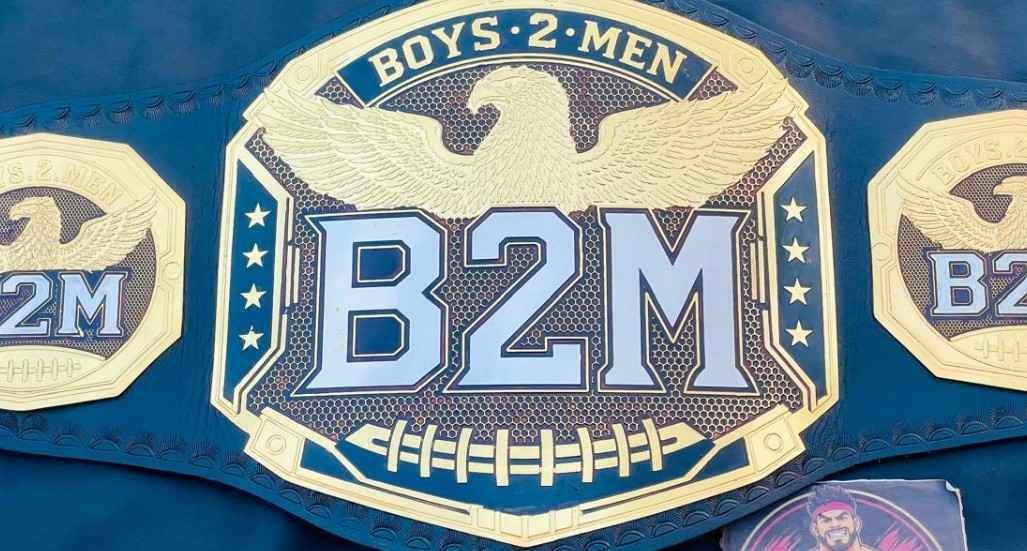 The B2M Fantasy Football Championship Custom Belt - Image 5