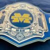 Custom Michigan Wolverines Championship Championship Belt - Image 9
