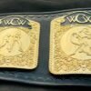 WCW World Television Championship Replica Belt (4mm SD Quality) - Image 5