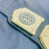 World Heavyweight Championship (WHC) 10mm 3D Cast Belt - Image 6