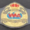 WWA World Wrestling Championship Belt - Image 3