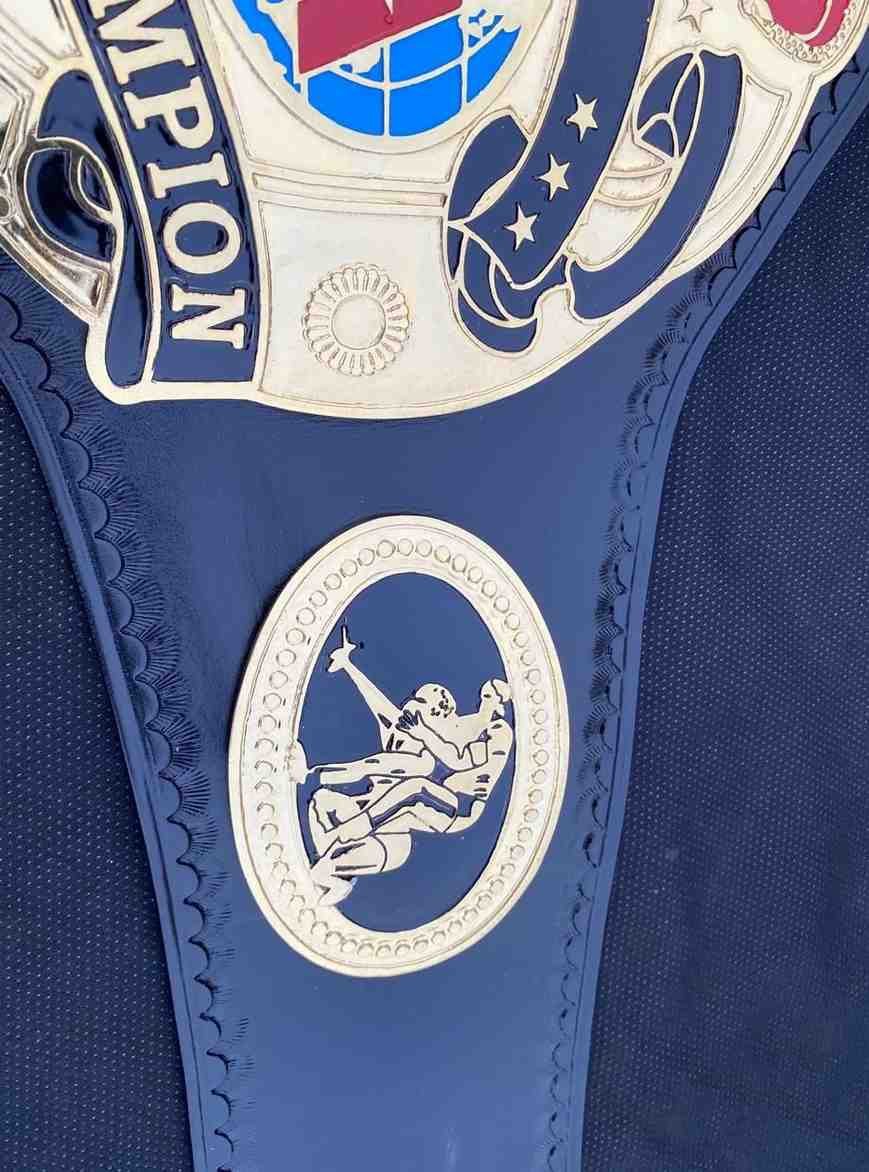 WWA World Wrestling Championship Belt - Image 10