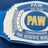 PAW Custom Tag Team Championship Belt (2mm Brass) - Image 4