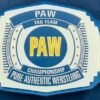 PAW Custom Tag Team Championship Belt (2mm Brass) - Image 7