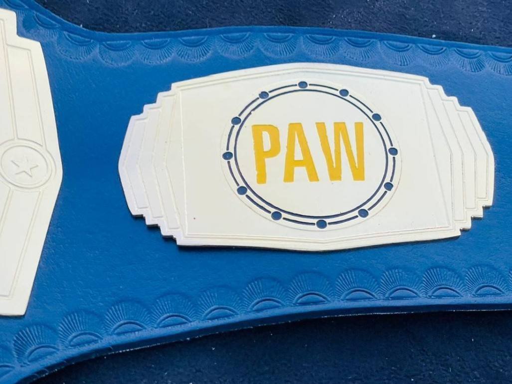 PAW Custom Tag Team Championship Belt (2mm Brass) - Image 8