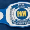PAW Custom Tag Team Championship Belt (2mm Brass) - Image 5