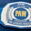 PAW Custom Tag Team Championship Belt (2mm Brass) - Image 2