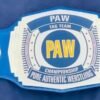 PAW Custom Tag Team Championship Belt (2mm Brass) - Image 9
