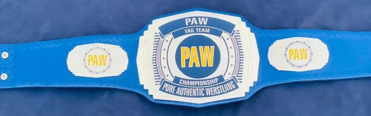 PAW Custom Tag Team Championship Belt (2mm Brass) - Image 9