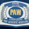 PAW Custom Tag Team Championship Belt (2mm Brass) - Image 6
