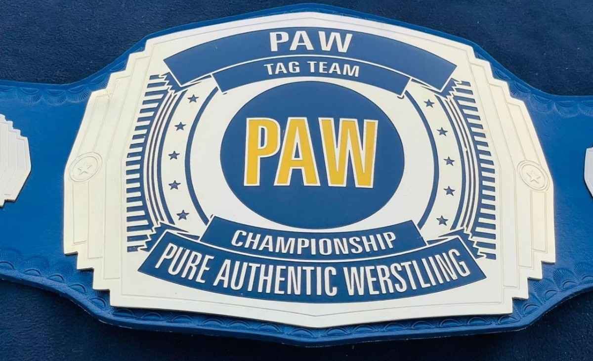 PAW Custom Tag Team Championship Belt (2mm Brass) - Image 6
