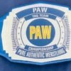 PAW Custom Tag Team Championship Belt (2mm Brass) - Image 3