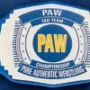 PAW Custom Tag Team Championship Belt (2mm Brass)
