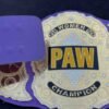 PAW Custom 2mm Brass Championship Belt - Image 6