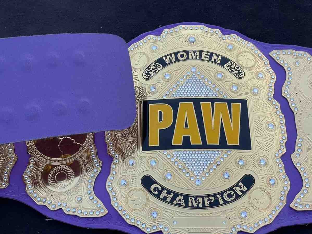 PAW Custom 2mm Brass Championship Belt - Image 6