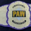 PAW Custom 2mm Brass Championship Belt - Image 5