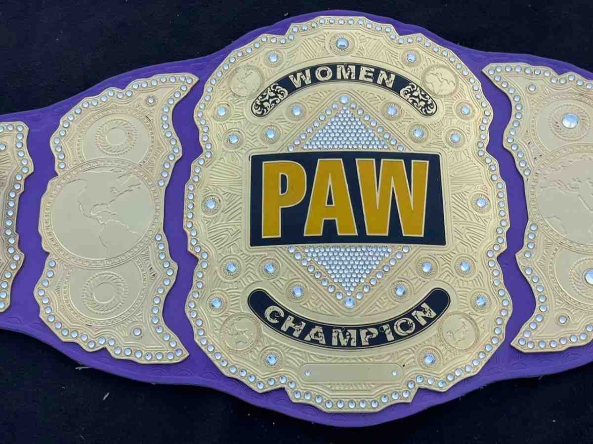 PAW Custom 2mm Brass Championship Belt - Image 5