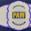 PAW Custom 2mm Brass Championship Belt - Image 2