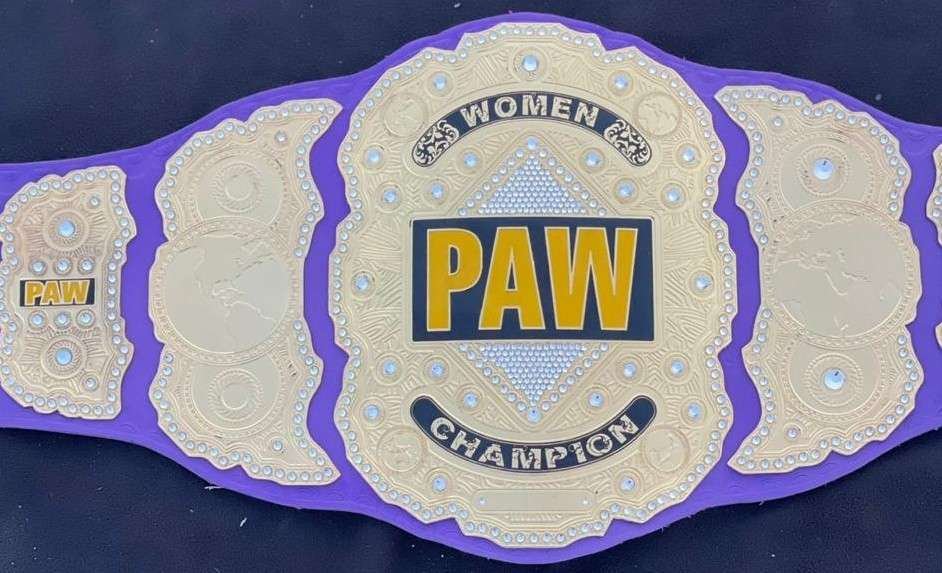 PAW Custom 2mm Brass Championship Belt - Image 2