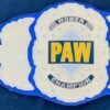 PAW Custom 2mm Brass Championship Belt