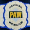 PAW Custom 2mm Brass Championship Belt - Image 4