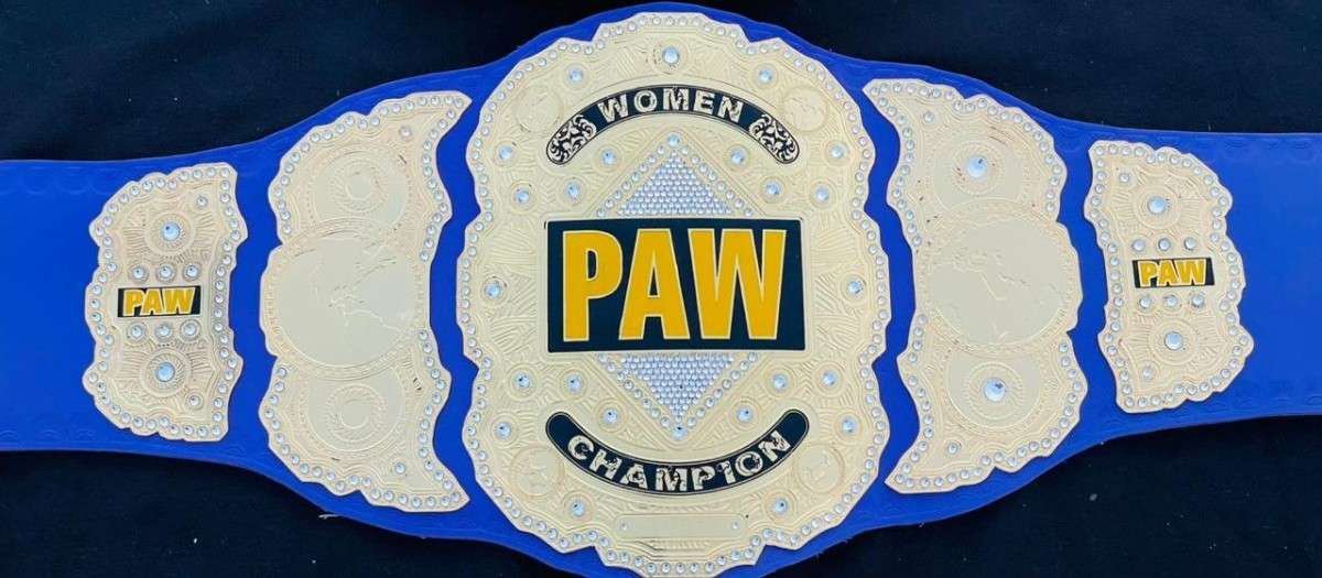 PAW Custom 2mm Brass Championship Belt - Image 4