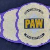 PAW Custom 2mm Brass Championship Belt - Image 3