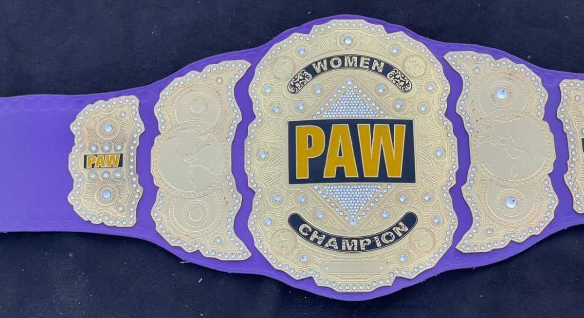 PAW Custom 2mm Brass Championship Belt - Image 3