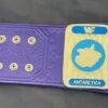 WWF Block Logo Oval Intercontinental Championship Replica Belt (4mm SD Quality) - Image 3