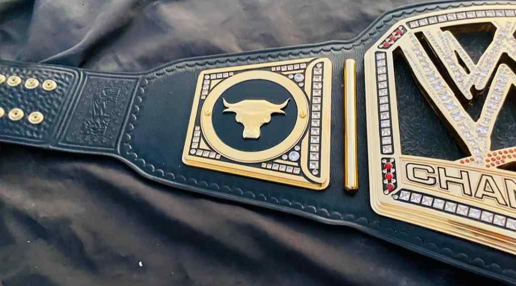 WWE Championship (2013) – "The Rock" Brahma Bull Edition (16mm Heavyweight Replica) - Image 3