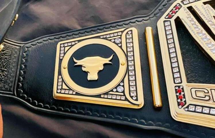 WWE Championship (2013) – "The Rock" Brahma Bull Edition (16mm Heavyweight Replica) - Image 4