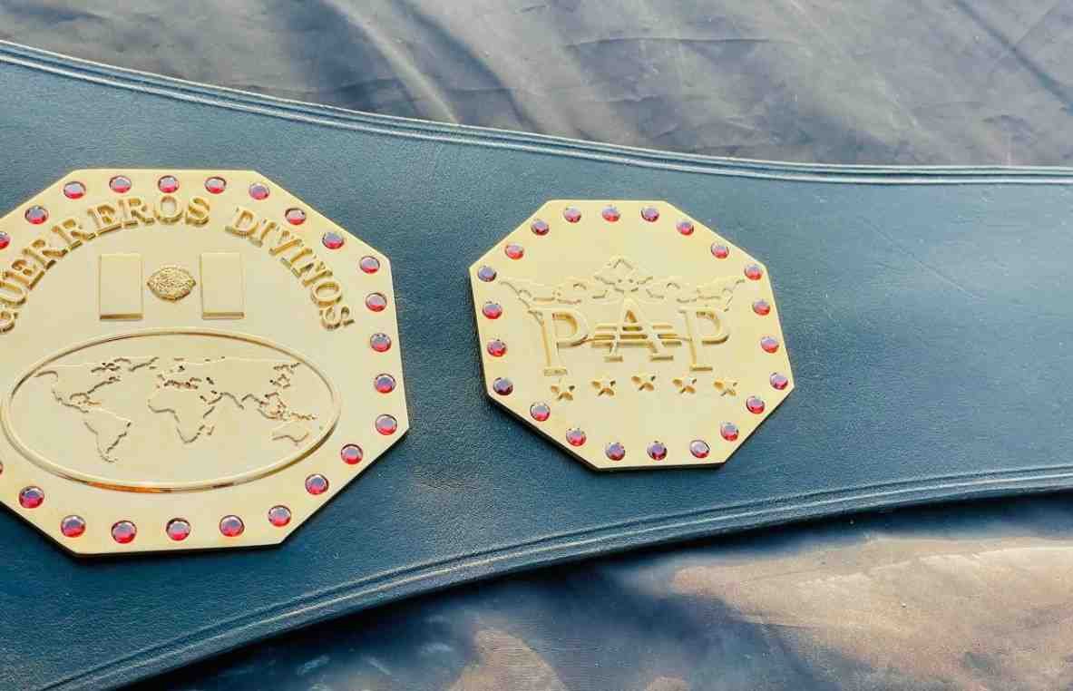 AAA Mega Champion 4mm CNC Championship Belt - Image 2