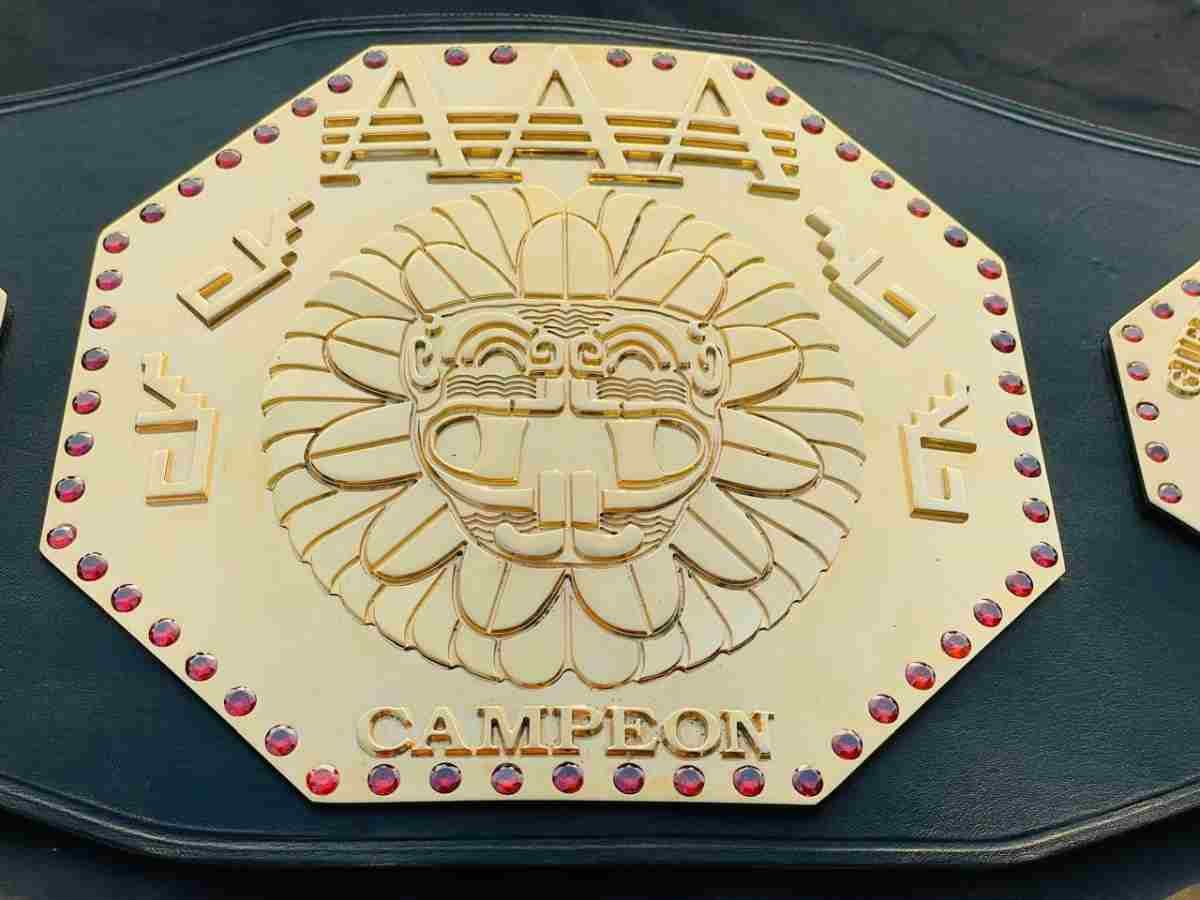 AAA Mega Champion 4mm CNC Championship Belt - Image 6