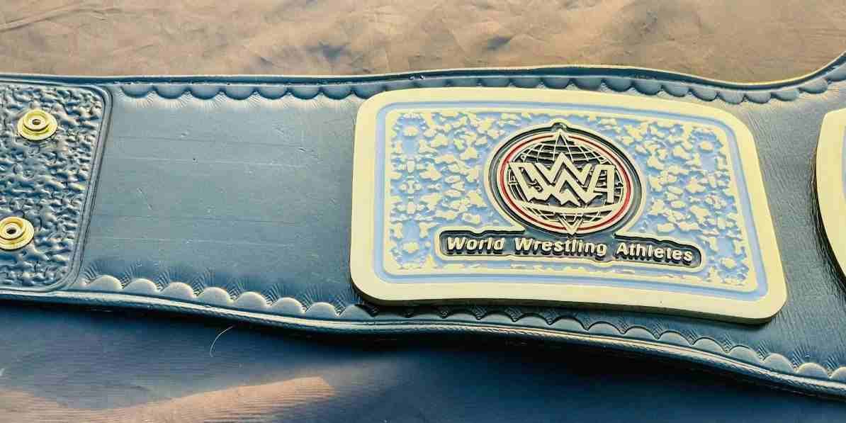 $5 Division Champion 4mm Thick Brass Replica Championship Belt (Fully Customizable) - Image 6