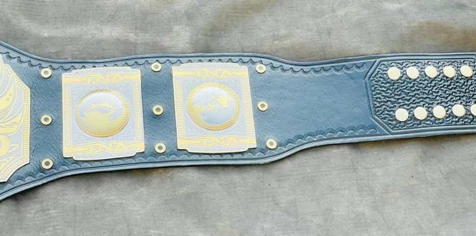 TNA World Heavyweight Championship Replica Belt (2mm brass) - Image 2