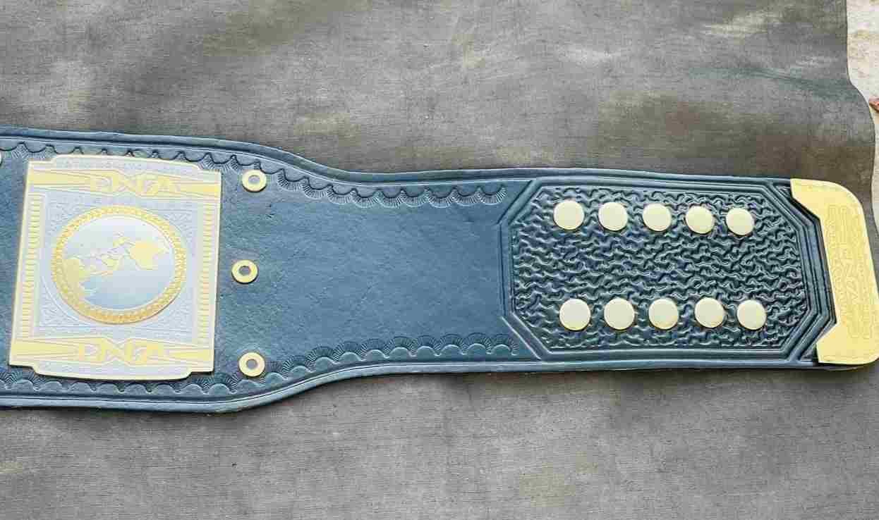 TNA World Heavyweight Championship Replica Belt (2mm brass) - Image 4
