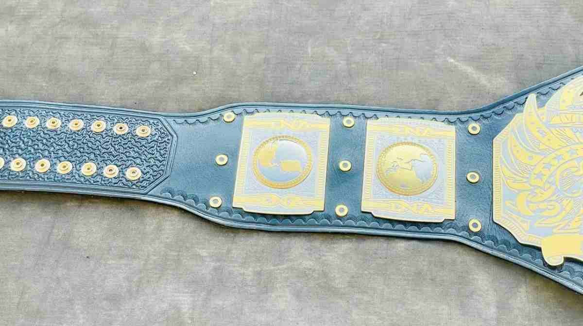 TNA World Heavyweight Championship Replica Belt (2mm brass) - Image 8