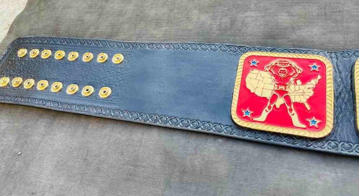 AEW National Wrestling Champion Replica Title Belt(4mm SD) - Image 6