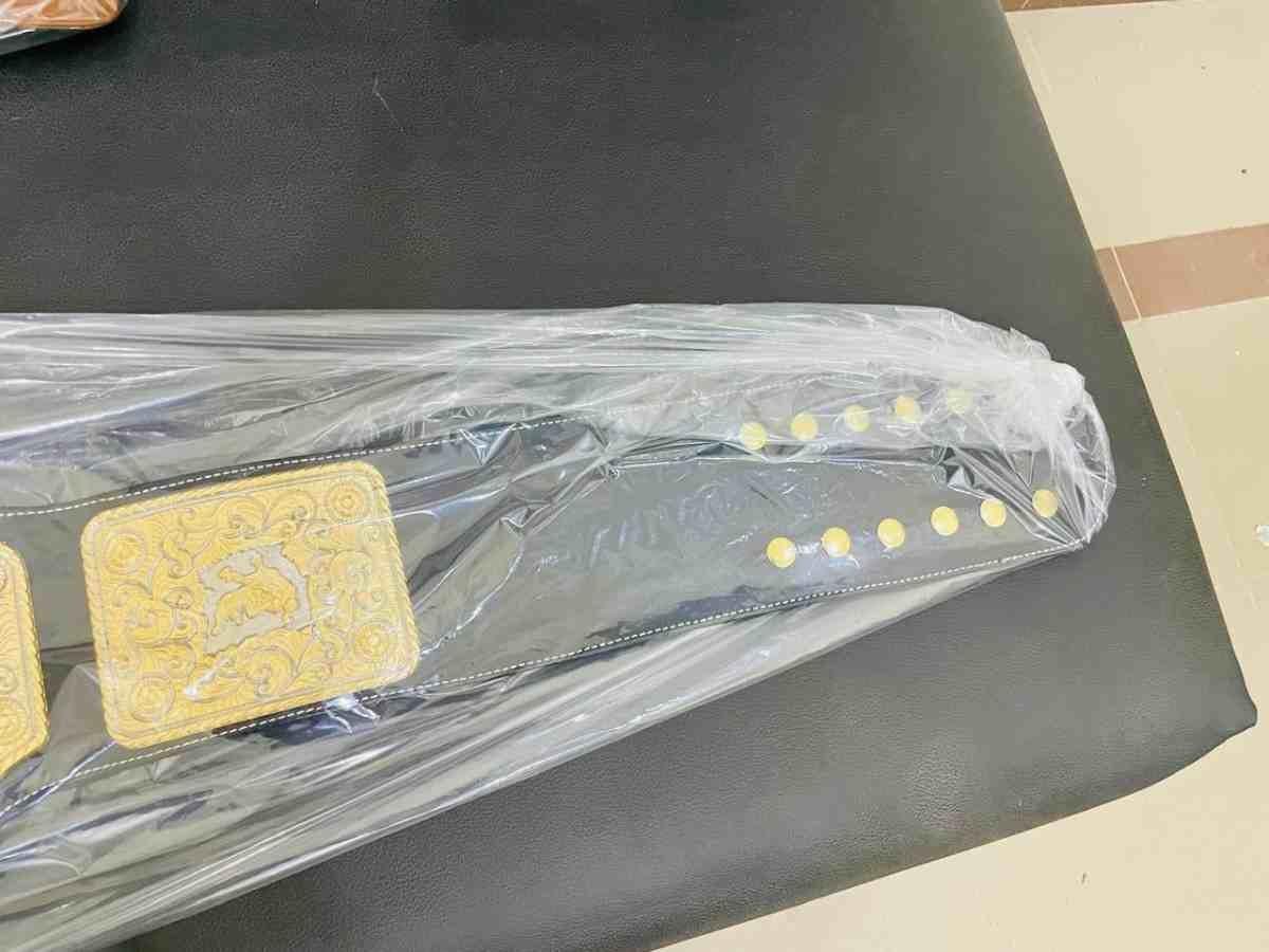 Big Gold "Cruiser" 4mm CNC Replica Championship Belt, - Image 5