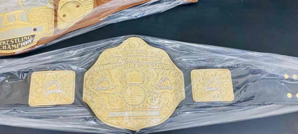 Big Gold "Cruiser" 4mm CNC Replica Championship Belt, - Image 4