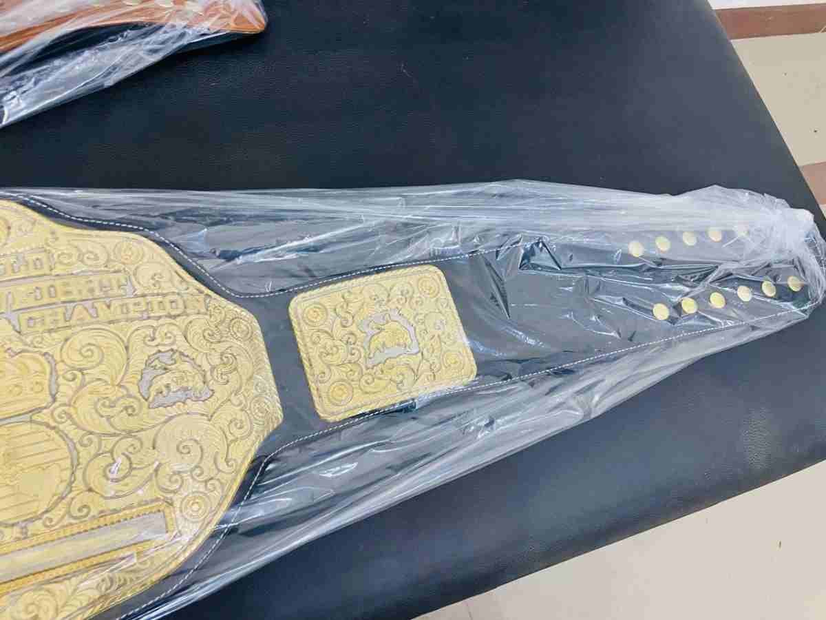 Big Gold "Cruiser" 4mm CNC Replica Championship Belt, - Image 3