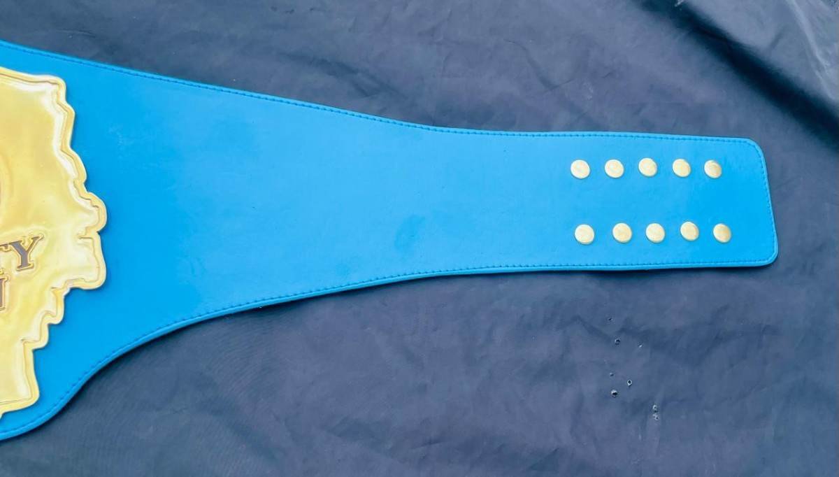 Williamson County Custom Championship Belt (4mm Stack) - Image 5