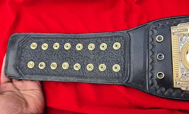 TNA World Heavyweight Championship 4mm CNC Replica Belt - Image 2