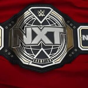 WWE NXT Championship Replica Belt